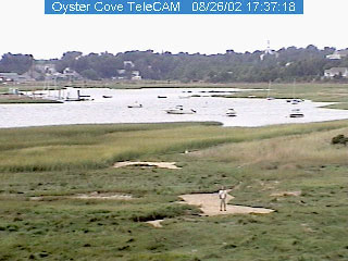 wellfleet-oyster-cove.jpg